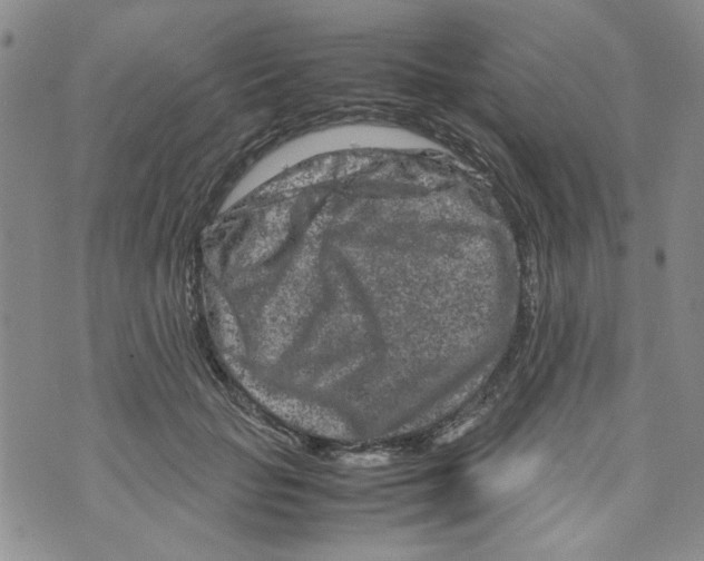 X0000072550653200608041649