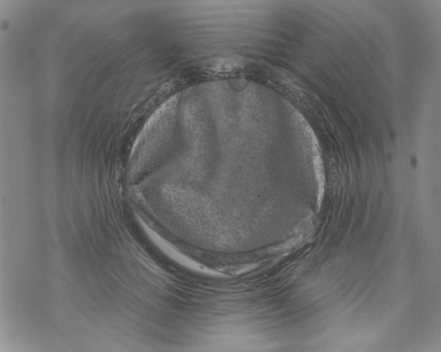 X0000072550654200608041649