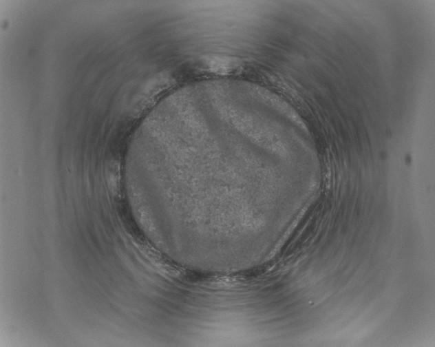 X0000072550656200608041649