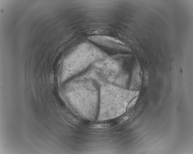 X0000072550657200608041649