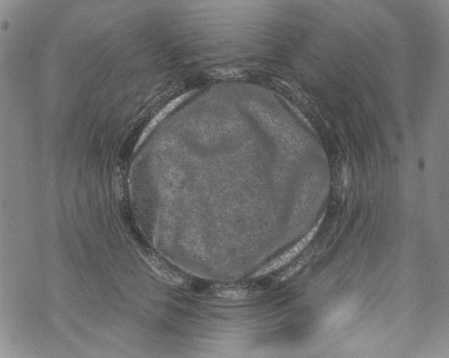 X0000072550658200608041649