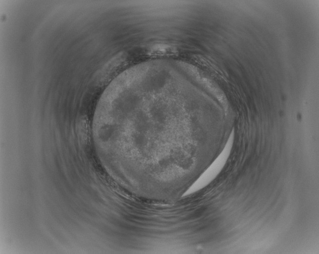 X0000072550659200608041649