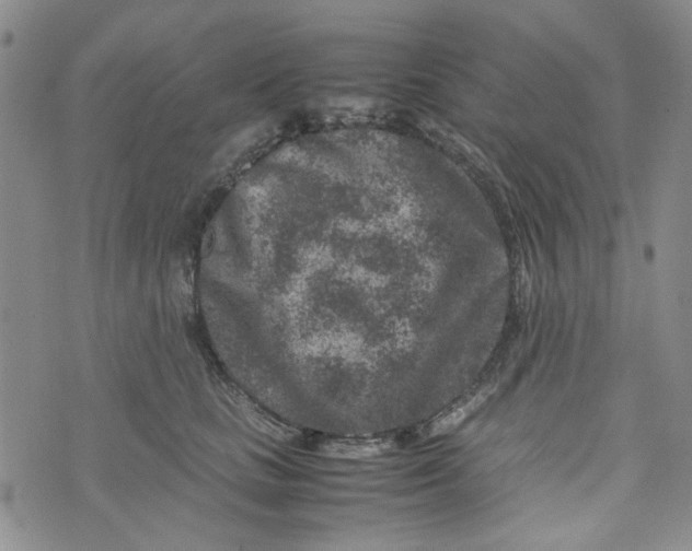 X0000072550661200608041649