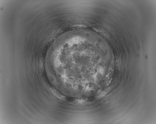 X0000072550662200608041649