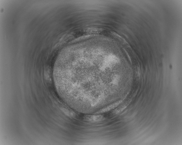 X0000072550663200608041649