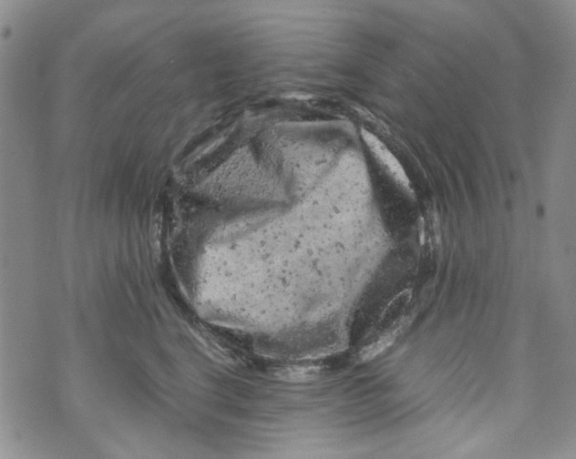 X0000072550664200608041649