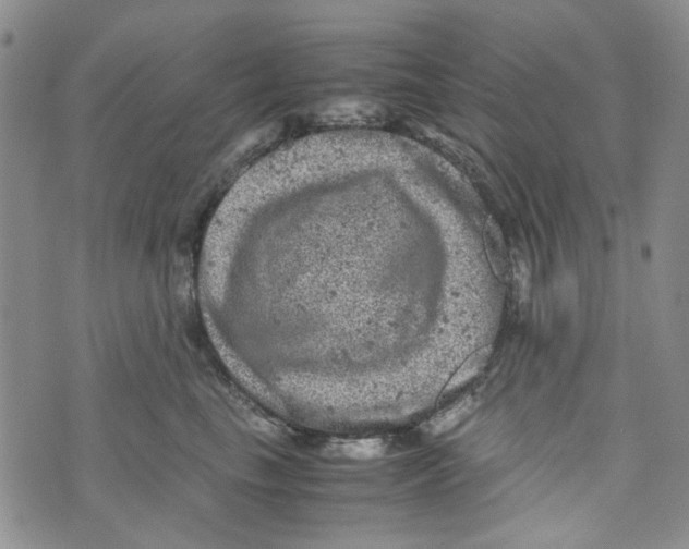 X0000072550665200608041649