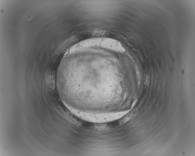 X0000072550666200608041649