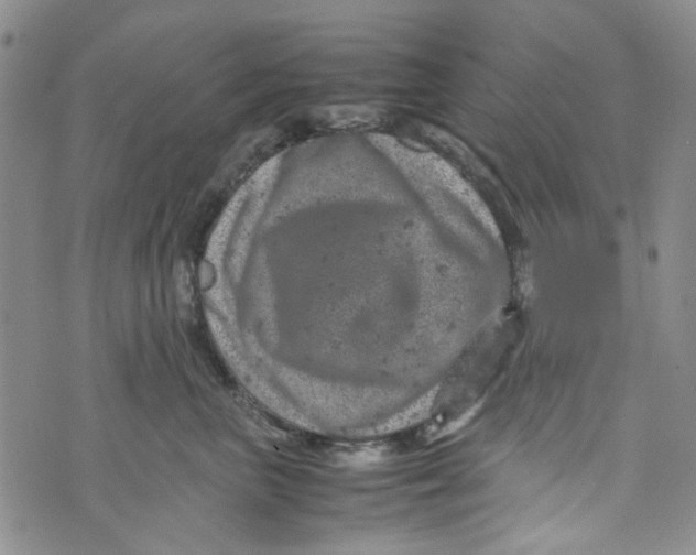 X0000072550667200608041649