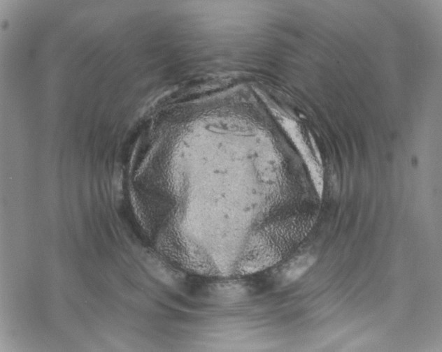 X0000072550668200608041649