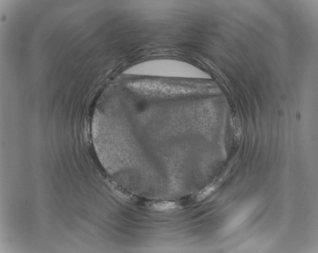 X0000072550669200608041649