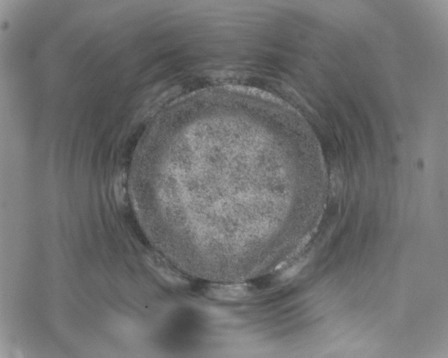 X0000072550671200608041649