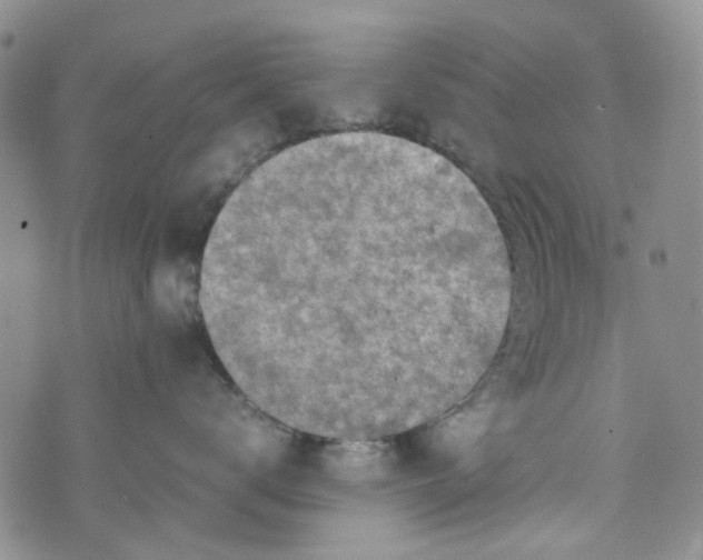 X0000072550672200608041649