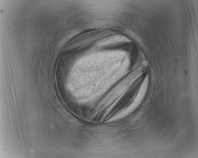 X0000072550673200608041649