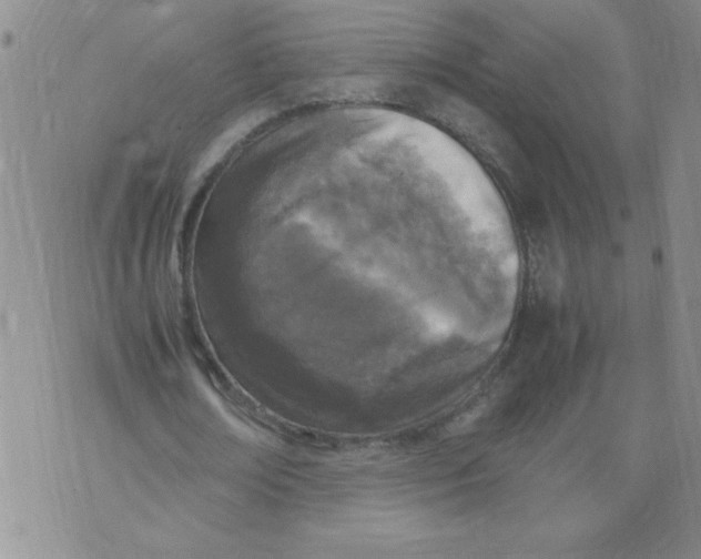 X0000072550674200608041649