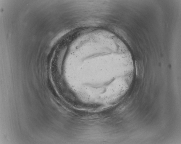 X0000072550675200608041648