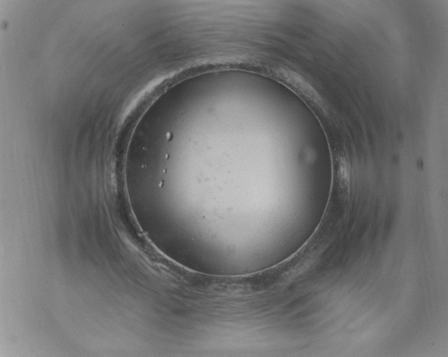 X0000072550676200608041648