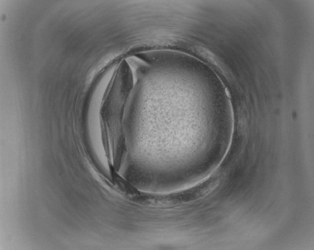 X0000072550677200608041648