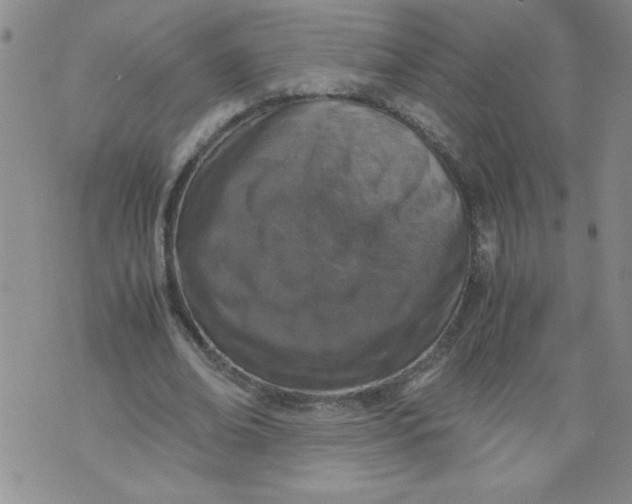 X0000072550678200608041648