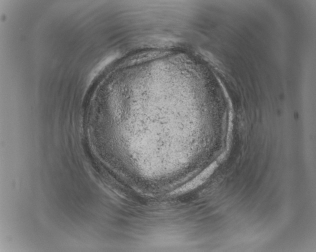 X0000072550679200608041648