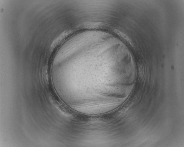 X0000072550682200608041648