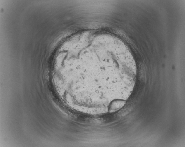 X0000072550683200608041648