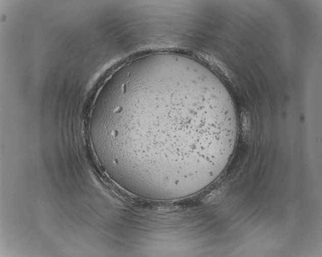 X0000072550684200608041648