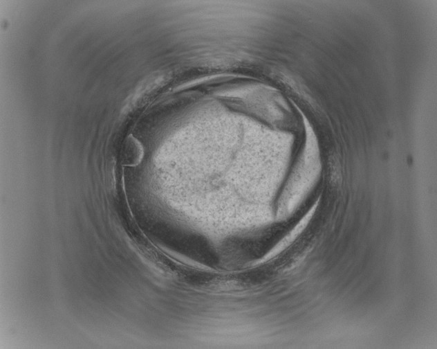 X0000072550685200608041648