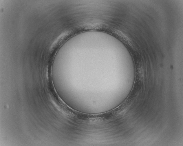 X0000072550686200608041648