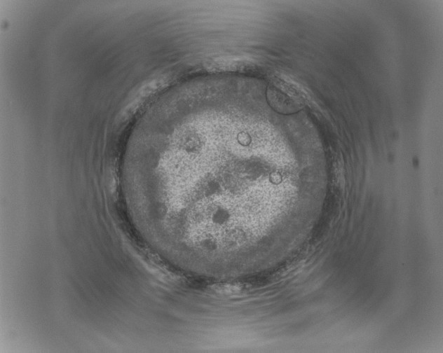 X0000072550687200608041648