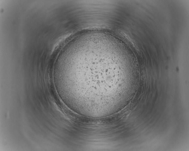 X0000072550688200608041648