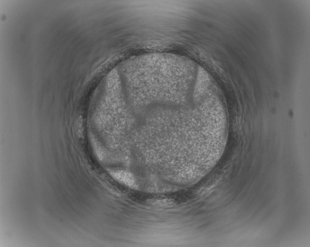 X0000072550689200608041648