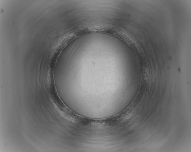 X0000072550690200608041648