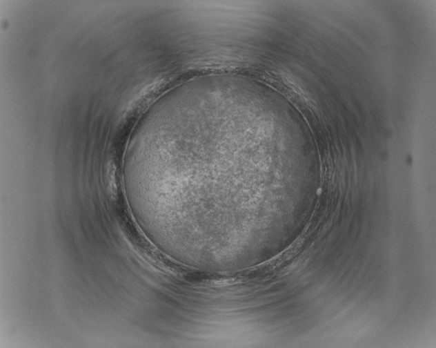 X0000072550692200608041648