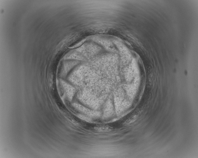 X0000072550693200608041648