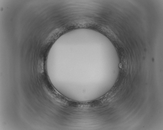 X0000072550694200608041648