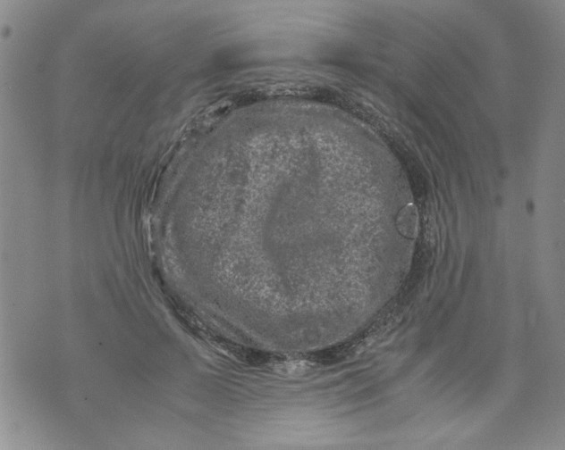 X0000072550695200608041648