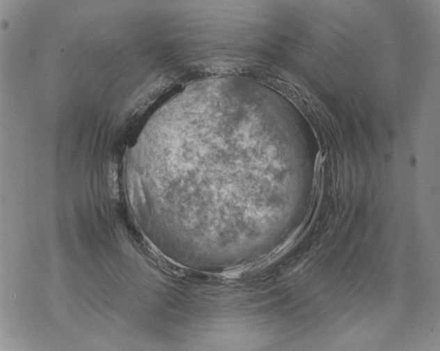 X0000072550696200608041648