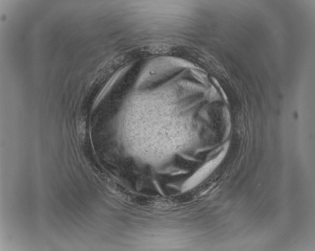 X0000072550697200608041648