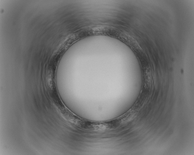 X0000072550698200608041648