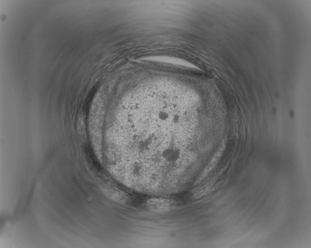 X0000072550699200608041648