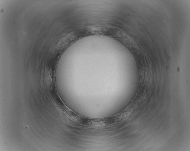 X0000072550702200608041648