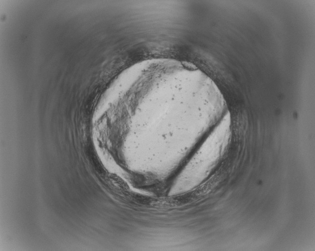 X0000072550703200608041648