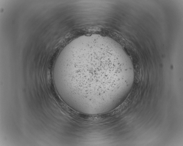 X0000072550704200608041648