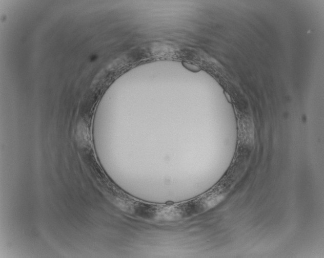 X0000072550705200608041648