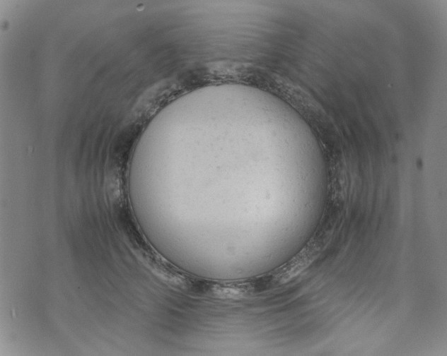 X0000072550706200608041648