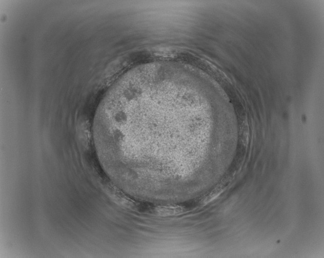 X0000072550707200608041648