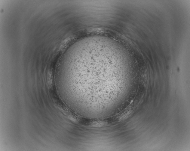 X0000072550708200608041648