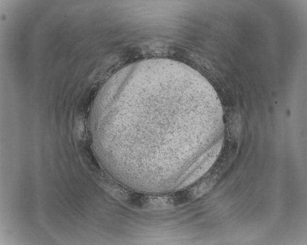 X0000072550709200608041648