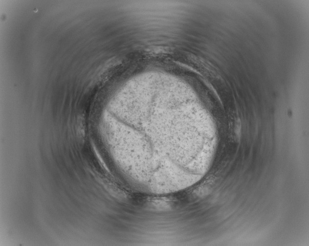 X0000072550710200608041648